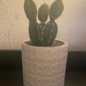 White faux cactus